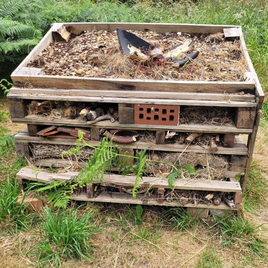 Greenwood Bug Hotel